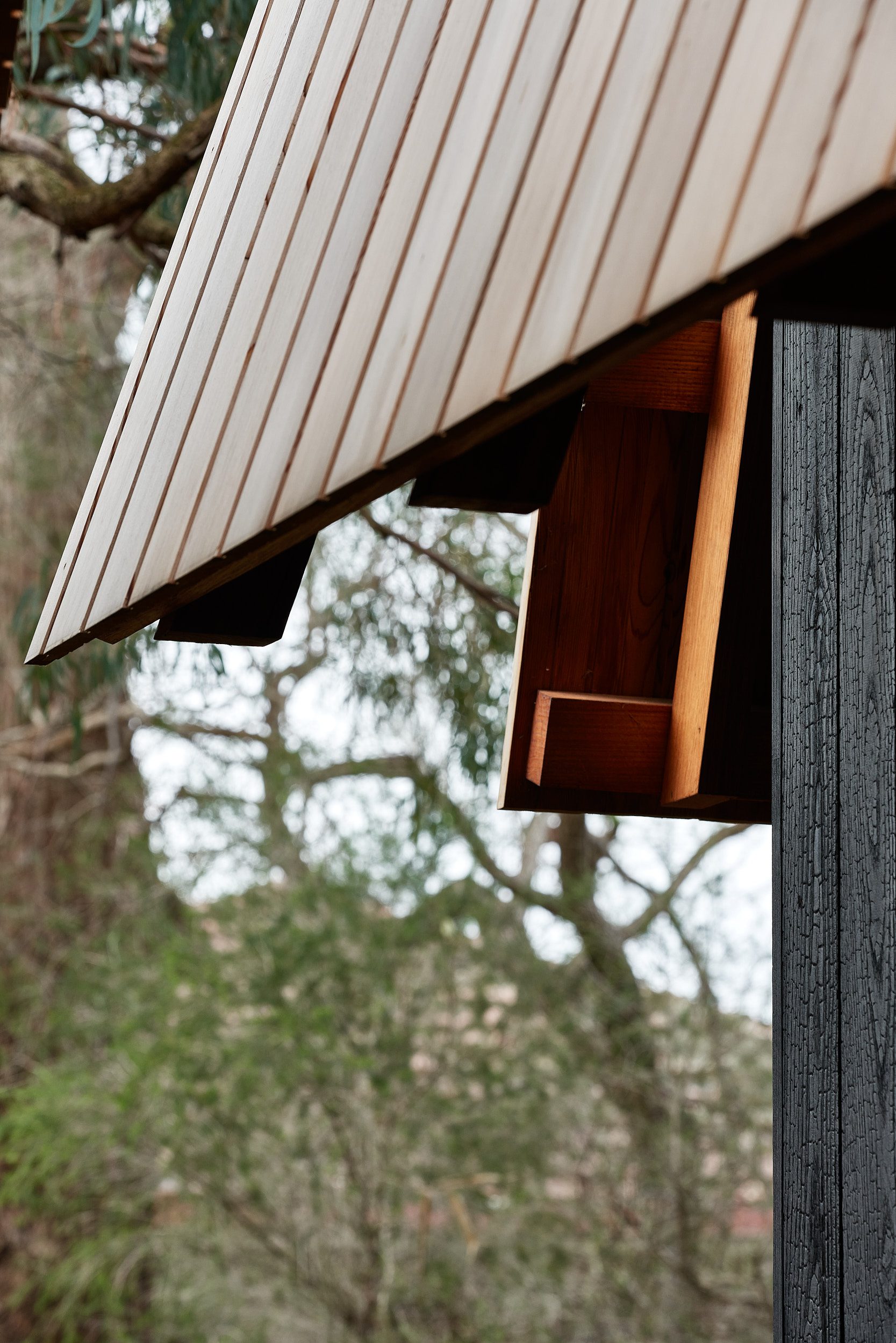 Ember - MRTN Architects
